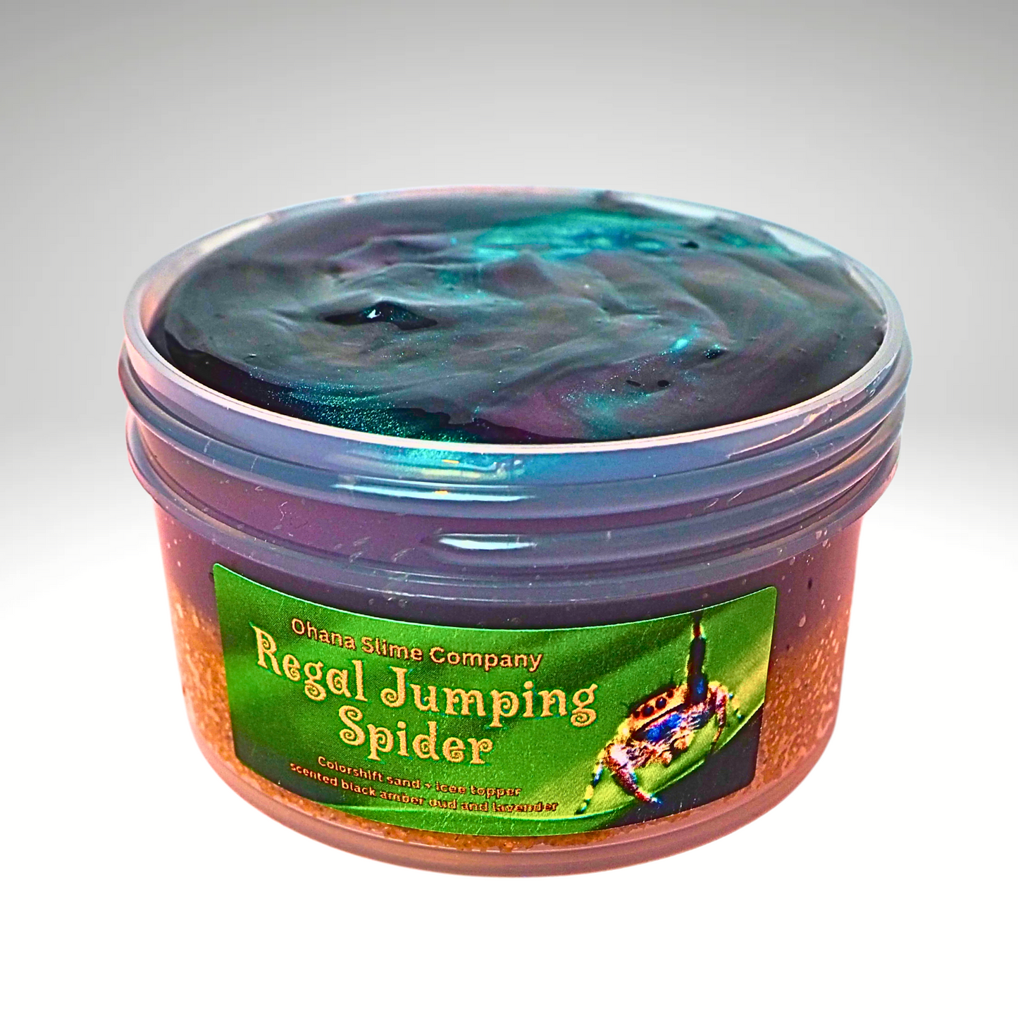 Regal Jumping Spider colorshift sand slime diy kit