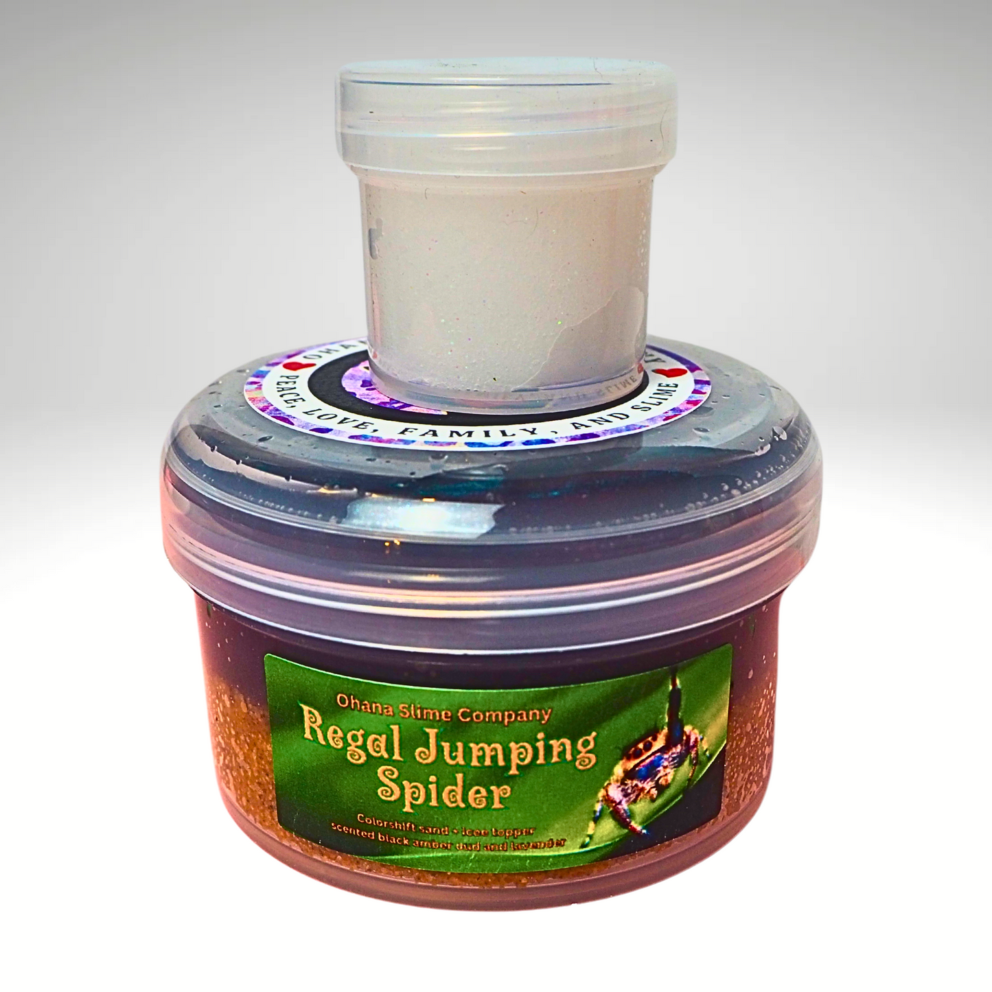 Regal Jumping Spider colorshift sand slime diy kit