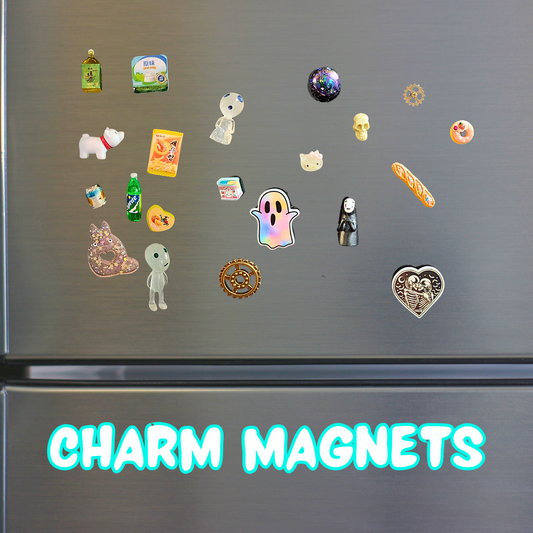 Charm Magnet Grab Bags